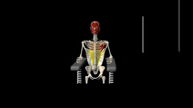 Тренировки для Развития