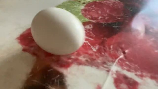 Шок! Яйцо долбанулось и захерачило нижний брейк! Смотреть онлайн и без регистрации смотреть онлайн
