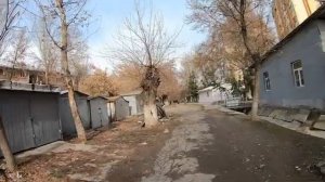 ТАШКЕНТ 2021. ОТ ЧЕРЕМУШЕК ДО ЛИСУНОВА МИМО ДУБОВОЙ