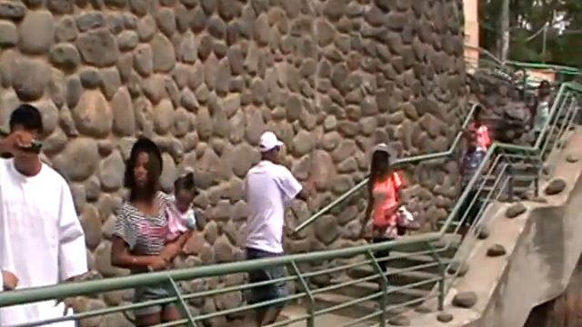 кормление сомов с рук на реке иордан смотреть онлайн