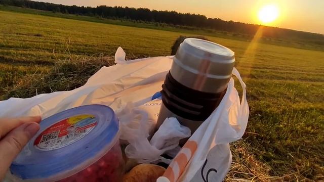 Супер сенокос 2022. Наши деревенские будни. Земляничное поле смотреть онлайн