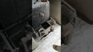 Небольшое пособие по замене фильтра грубой очистки на ман TGX 18/480