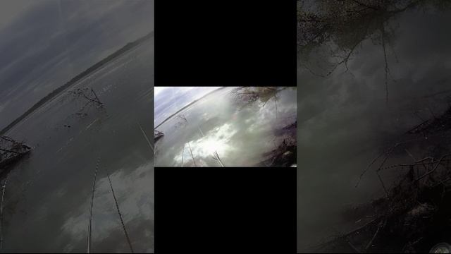 Огромный бобёр разогнал всю рыбу. Случай на рыбалке смотреть онлайн