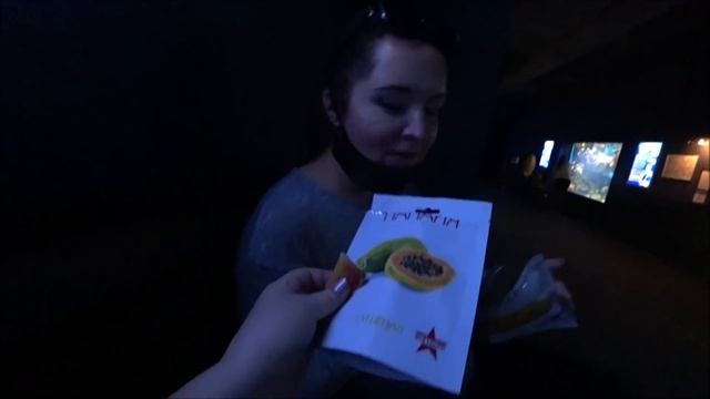 4. Океанариум Сочи Дискавери. Потрясающее шоу кормления рыбок и шоу русалочек. Модная рыбка Маришка смотреть онлайн