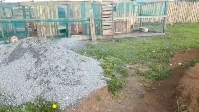 ХОЗЯЙСТВО С НУЛЯ.Утро. Курица сбежала? 😳 смотреть онлайн