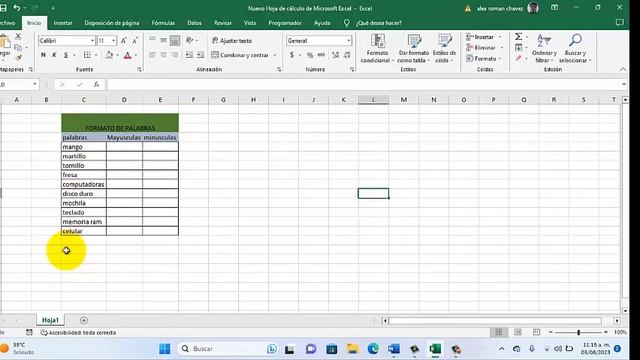 Cambiar Minúsculas A Mayúsculas En Excel смотреть онлайн