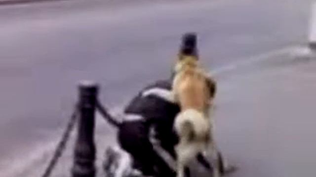 Случай в Колпино смотреть онлайн