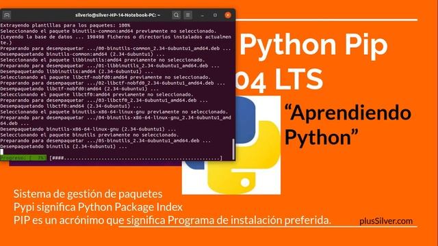 Como instalar Python Pip 3 en Linux Ubuntu 20.10 Groovy Gorilla y 20.04 LTS (Video 8) 2020 смотреть онлайн