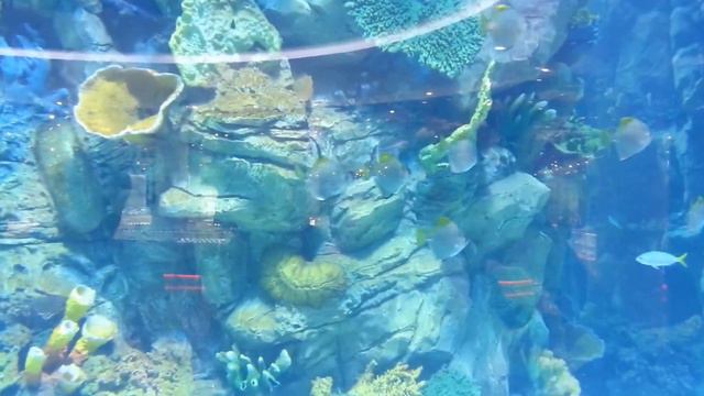 Ocean Plaza Киев смотреть онлайн