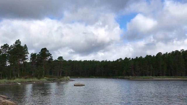 Белое море 2022. White Sea 2022 смотреть онлайн