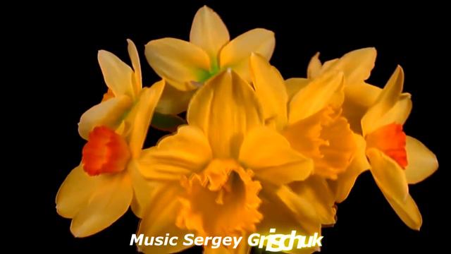 Music For the soul,, THE BEATING OF TWO HEARTS,, Music Sergey Grishchuk смотреть онлайн
