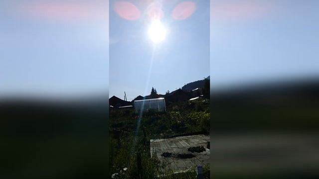Необычное явление. Солнечный луч у нас в гостях на даче на цветочной клумбе смотреть онлайн