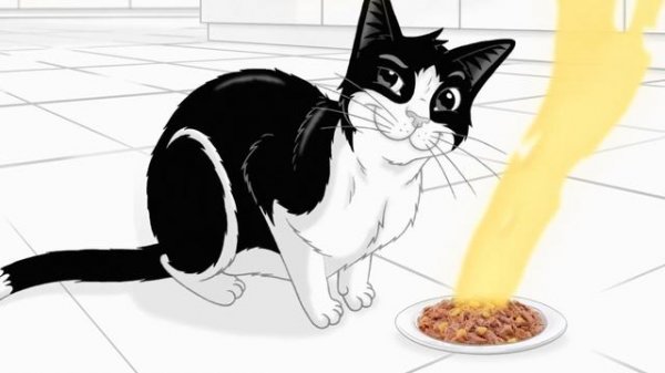 FELIX Sensations® Extras | PURINA FELIX