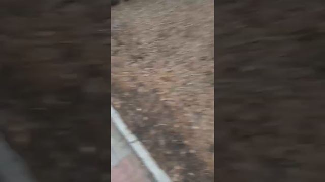 Аквапарка Сказка. Омск смотреть онлайн