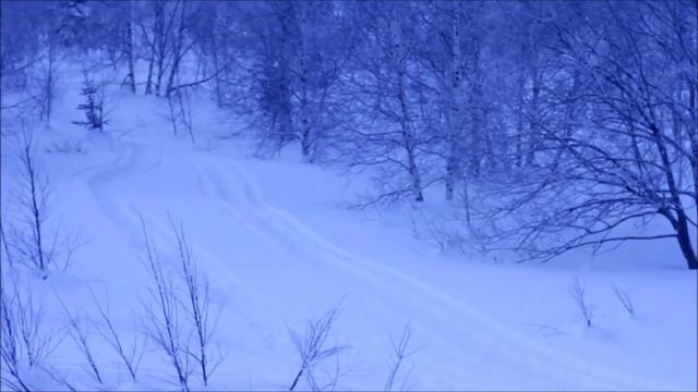 Приисковое январь 2016 смотреть онлайн