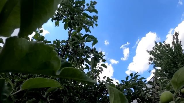 Сила слова. Как творить на уровне слов. смотреть онлайн