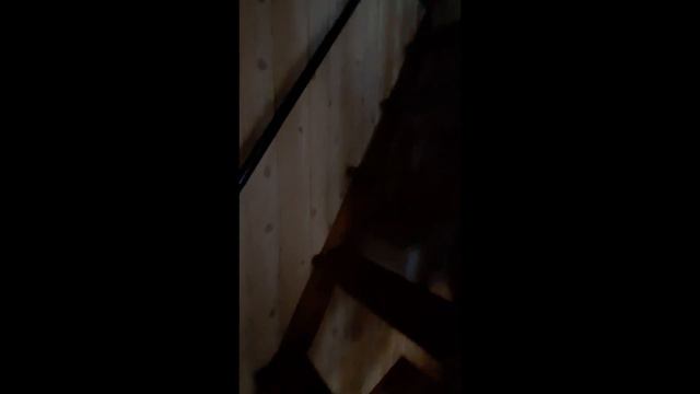 Дом 50 метров с участком 4 сотки в Чкаловском районе города Екатеринбурга. смотреть онлайн