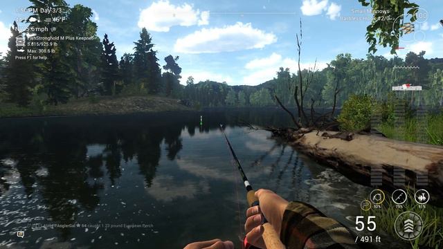Fishing Planet - Selenge River - Unique - Common Dace - Bait