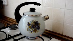Чайник со свистком