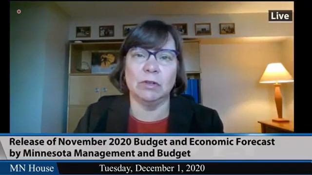 State officials and Gov. Walz discuss budget forecast смотреть онлайн