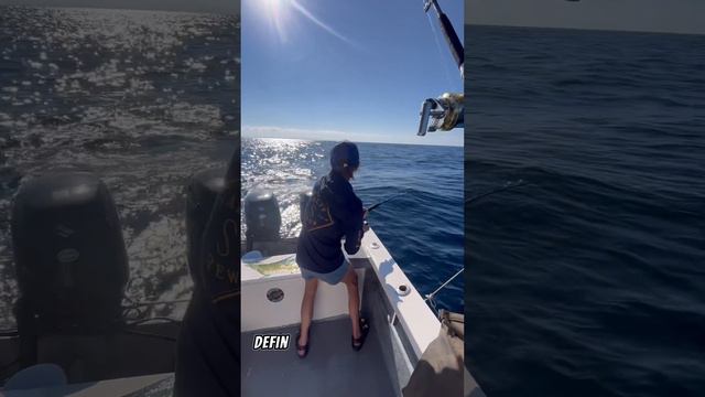 Catching giant dorados and yellowfin tunas out of Puerto Vallarta. #puertovallartafishing смотреть онлайн