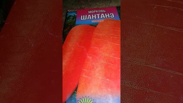 Морковный🌶пир смотреть онлайн