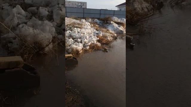 Паводки в Акмолинской области Целиноградского района село Караоткель. смотреть онлайн