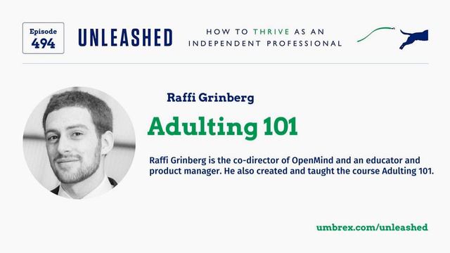 494. Raffi Grinberg, Adulting 101 смотреть онлайн