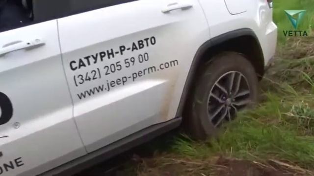 Как правильно выбрать хороший ковер смотреть онлайн