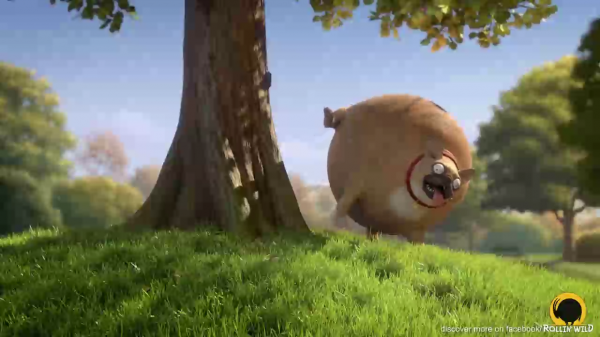 Если бы животные были круглые/ What if animals were round