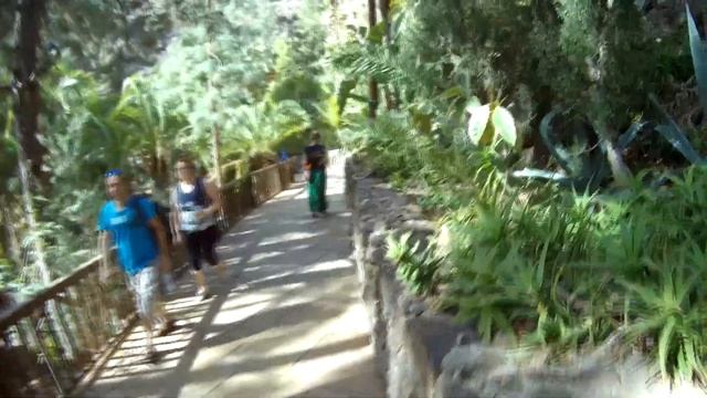 ВЛОГ Пальмитос парк Гран Канария. VLOG Palmitos Park Gran Canaria. смотреть онлайн