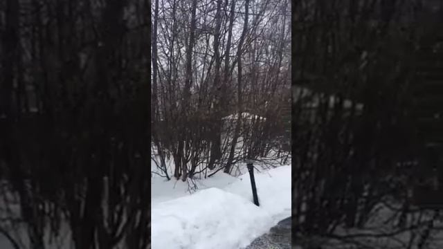 Дача февраль смотреть онлайн