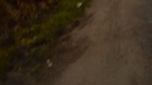 д.Першутино 200м смотреть онлайн