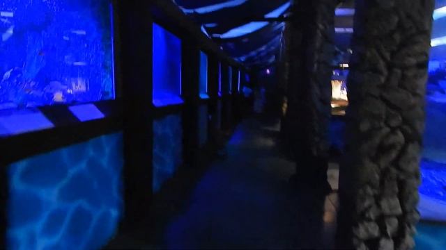 Влог Мацеста Сочи|Аквариум на Новой Мацесте|Отдых на море 2020 смотреть онлайн