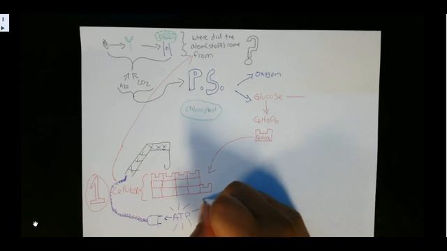 NPP-GPP Sketch Noting смотреть онлайн