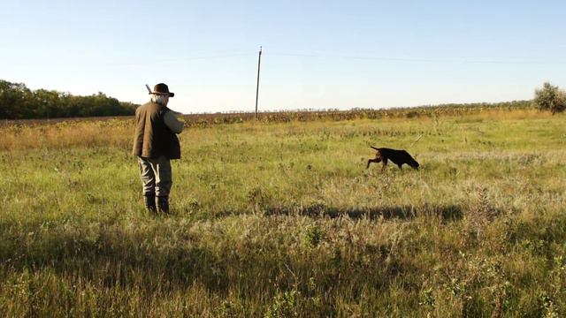 На старуху бывает проруха смотреть онлайн