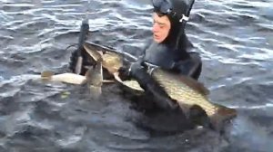 Подводная охота на средней Волге