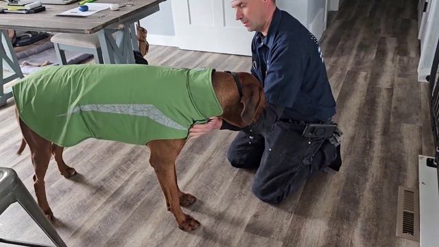 Как заставить современного подростка двигаться? Будни в американской глубинке. смотреть онлайн