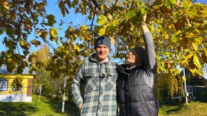 Как живут люди в деревне. Чем заняты, и что заготавливают на зиму.