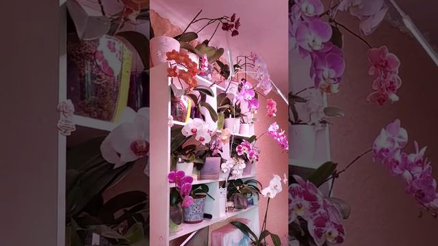 20 июня 2022 г. смотреть онлайн