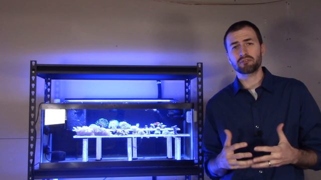 My First Frag Tank - New Series Introduction смотреть онлайн
