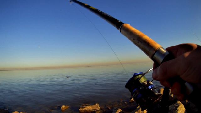 Первые подлещики сезона 2019. смотреть онлайн