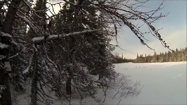 Breaking Trail With The Skandic 550 & Setting Marten Traps.... смотреть онлайн
