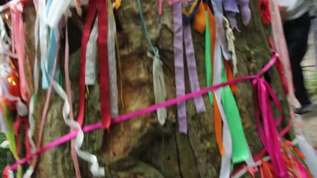 Свадьба Новиковых Брянск часть 5 смотреть онлайн