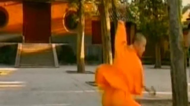 Воины мира - Ушу