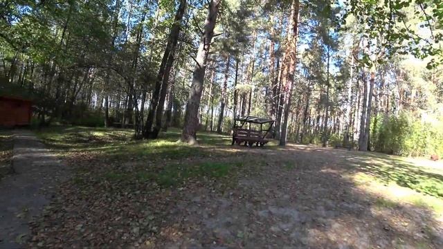 Жемчужина парка 