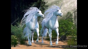 Единорог_________________ Единороги мифология.