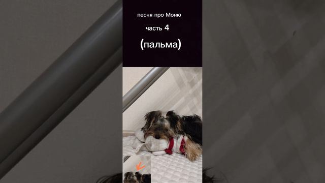 песня про Моню часть 4 (пальма) смотреть онлайн
