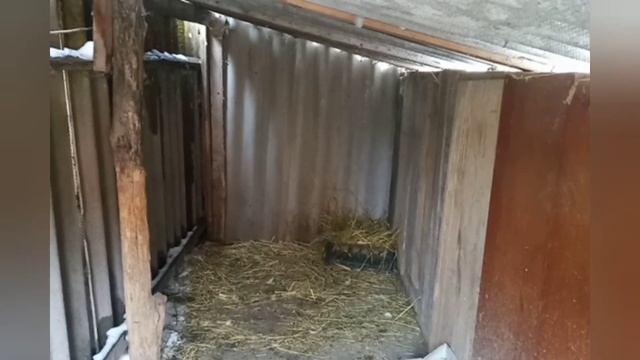 Готовим гусей.//Зима плачет.//Обзор покупок.// смотреть онлайн