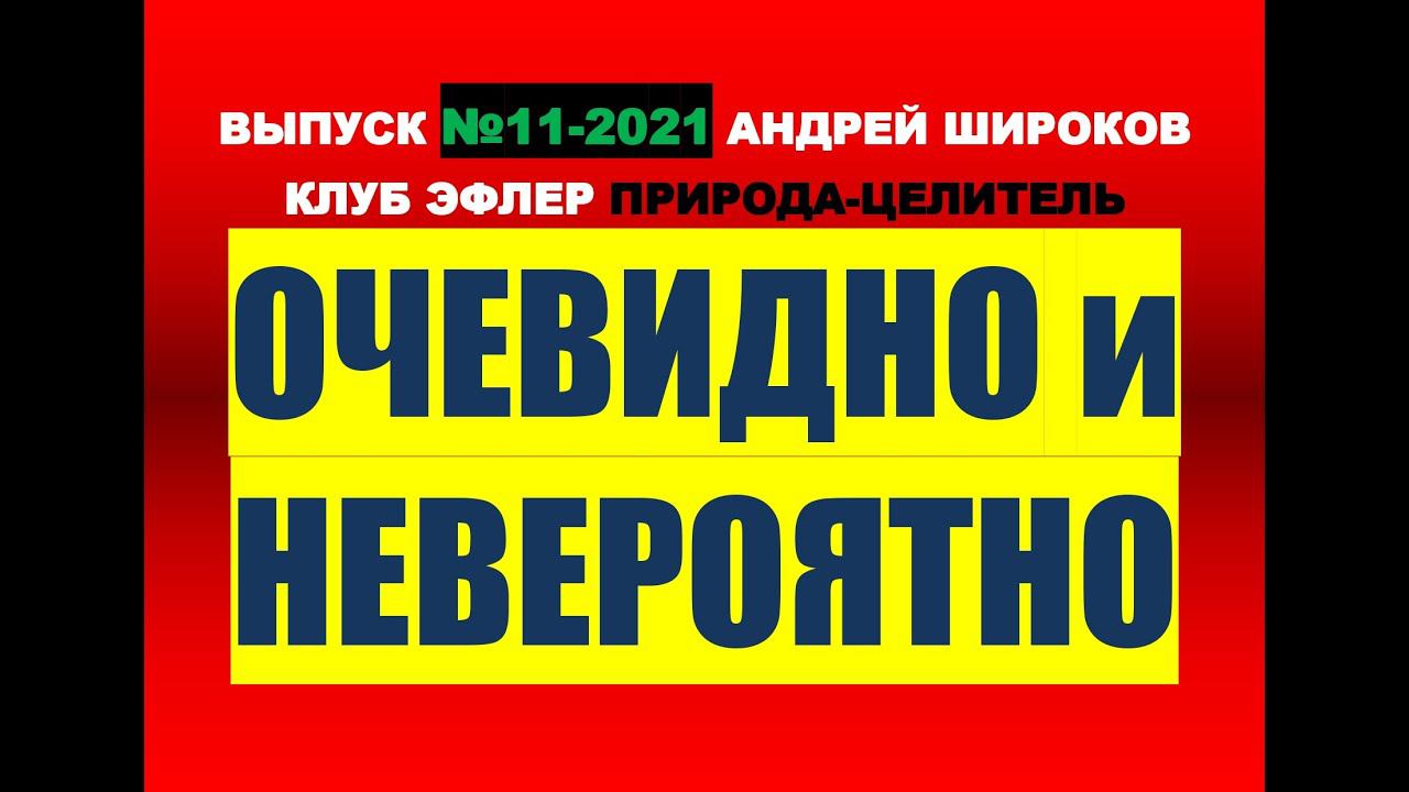 Укол. Опасения. Взаимодействие. Выход. Взаимопомощь. Смена места. Поддержка. Чат. Александр Редько. смотреть онлайн